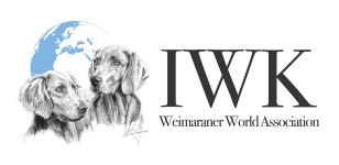 IWK_Logo_2025_Europe